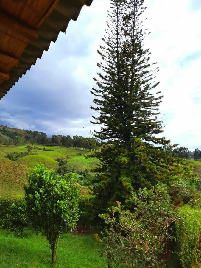 Finca Hotel Don Julio Santa Rosa de Cabal Extérieur photo